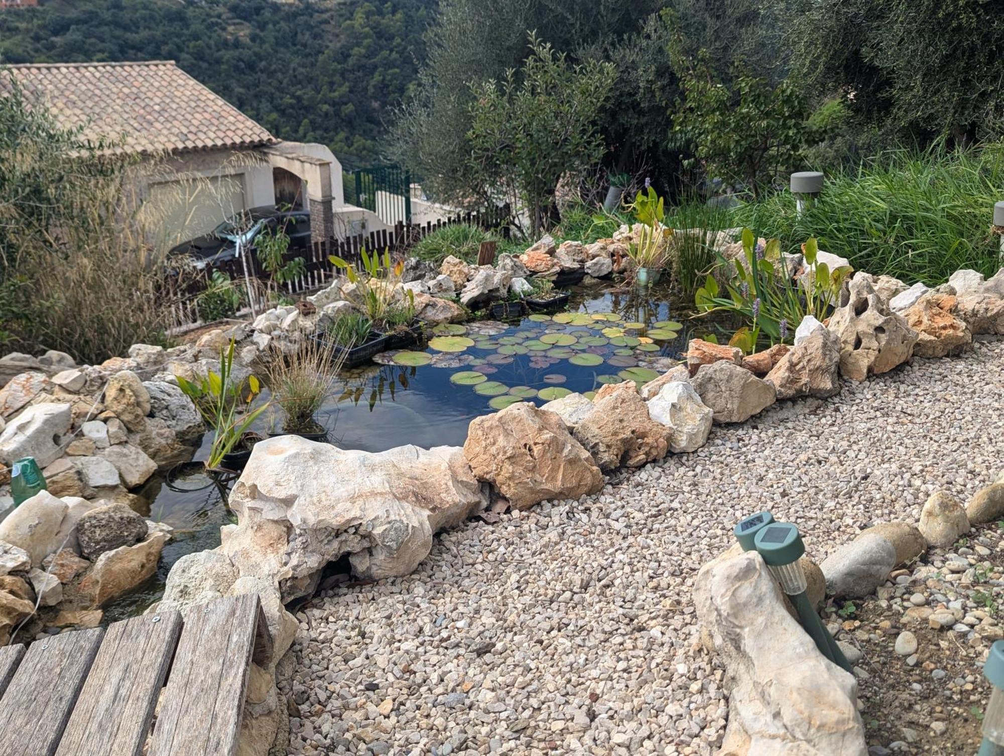 Maison L'aloe Gasthof *